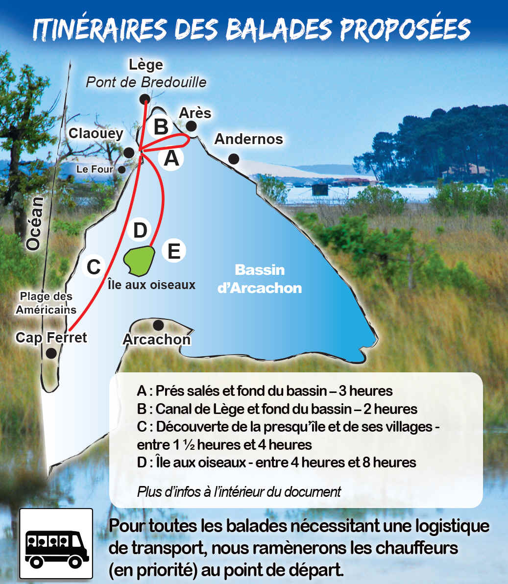 Cabane à Gliss Canoé Kayak et Stand Up Paddle au Cap Ferret