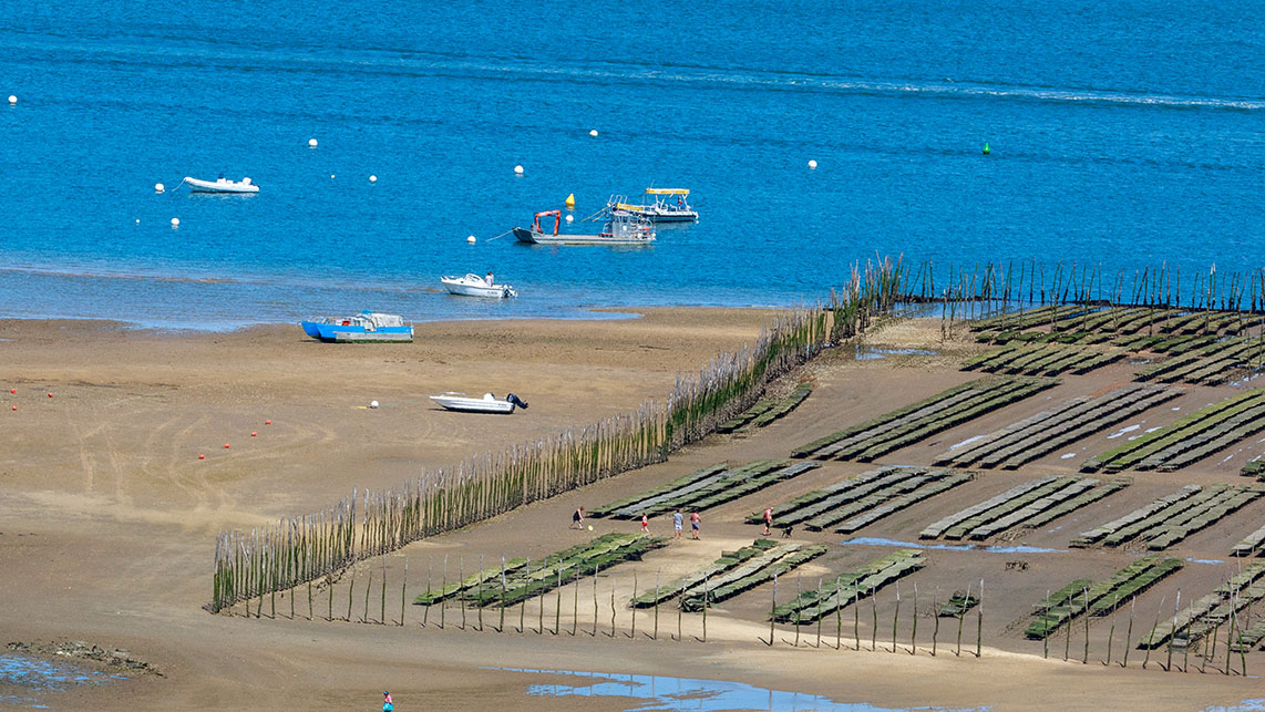 Cabane à Gliss Canoé Kayak et Stand Up Paddle au Cap Ferret