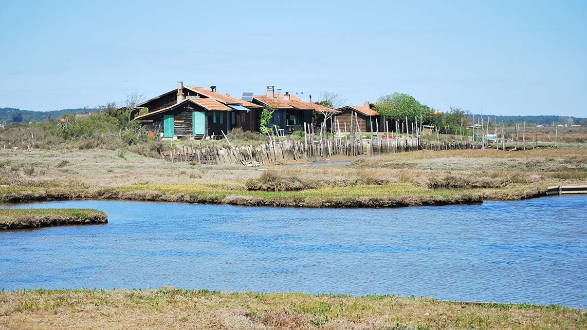 balade à l'ile aux oiseaux depuis le Cap Ferret en canoé kayak et stand up paddle